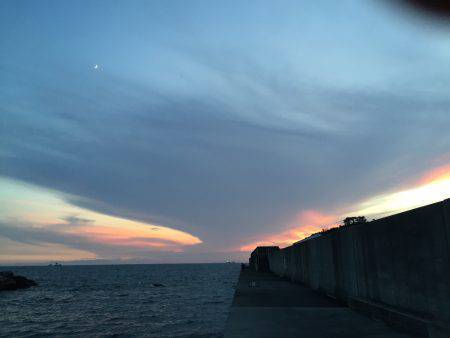田ノ浦漁港エギング10回目