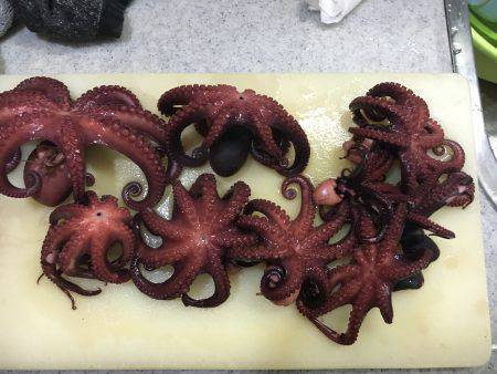 まだタコなんとかいけめすね(^_^)