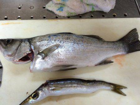 アタリはあったものの。。。