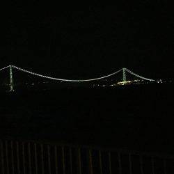 サバイバル生活