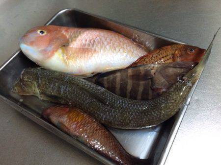 ナブラはあったけども