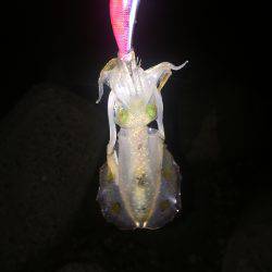 3ヶ月ぶりの釣行