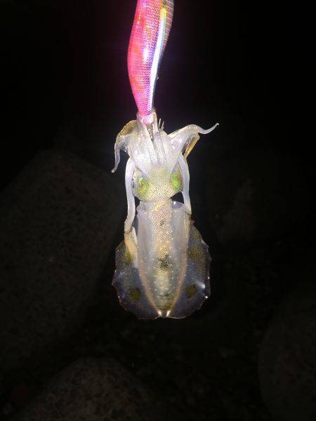 3ヶ月ぶりの釣行