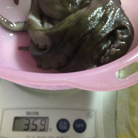 和歌山マリーナシティ海釣り公園