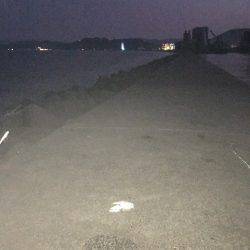 夕方サーベリング