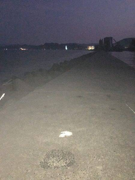 夕方サーベリング