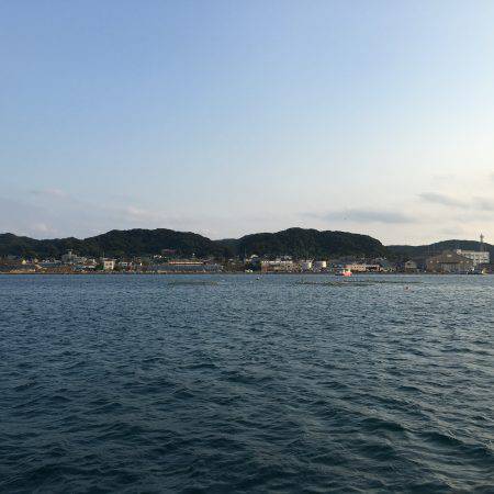 またソウダガツオ狩り