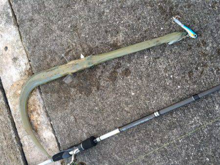 バカンスでちょい投げ（ルアー）