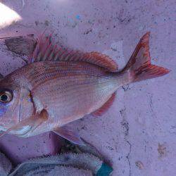 2016夏、大海原に出航してみた