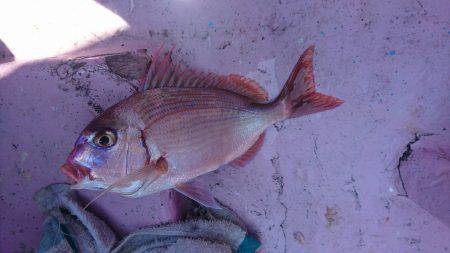 2016夏、大海原に出航してみた