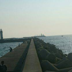 2016夏の夜釣り2夜連続スペシャル