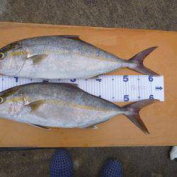 カンパチリベンジ成功♪