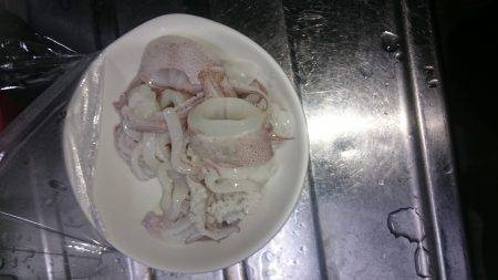 丘からのエギング!