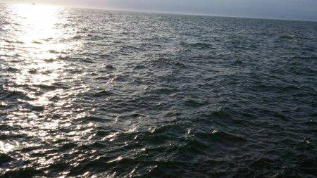 サゴシ、太刀魚GET！！