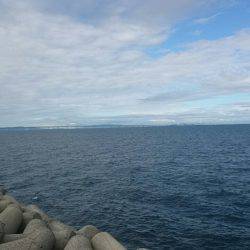 サゴシ祭り！？