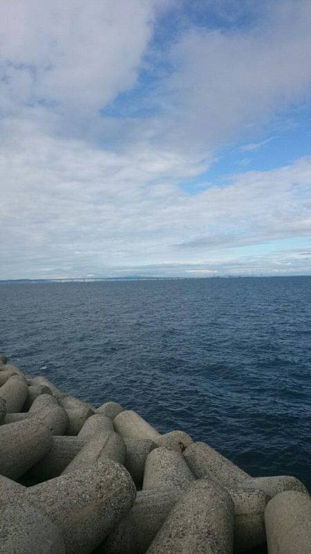 サゴシ祭り！？