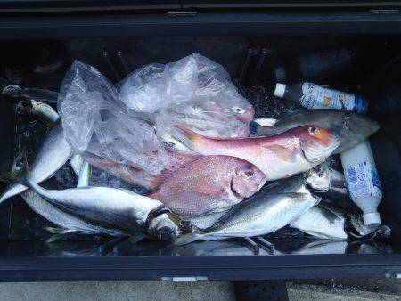 イカメタルの合間に魚狙い