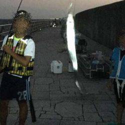 爆釣!ファミリーでタチウオワインド