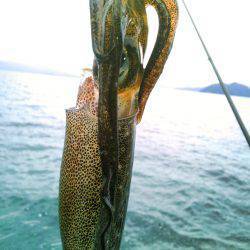 風に負けるな♪