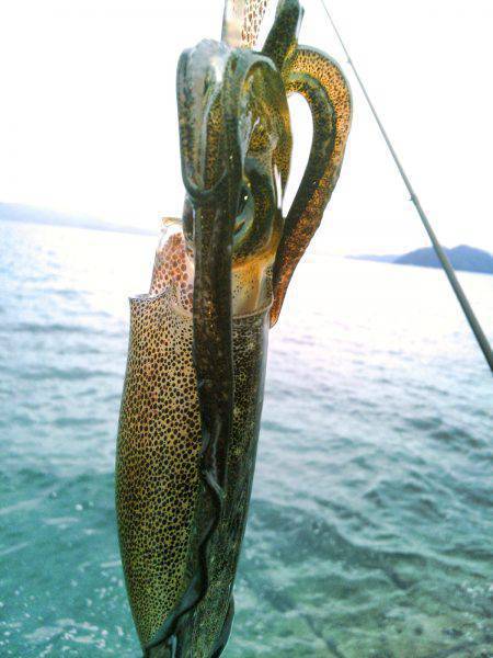 風に負けるな♪