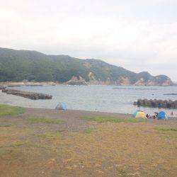 堤防からマゴチ