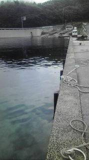 ロックフィッシュ！