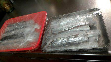 いつまで続くか?!夏タチ爆釣!