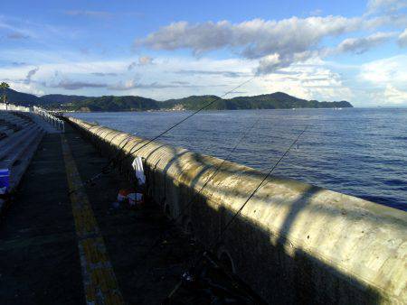アジング祭りや～！まさかのツバス確保（驚）