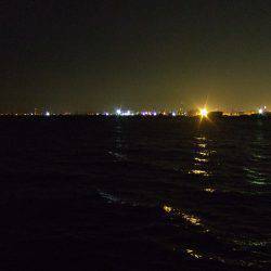 タチウオ不発でも