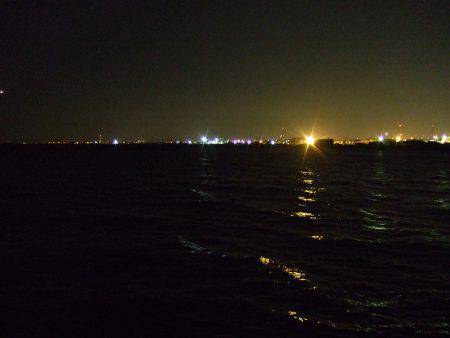 タチウオ不発でも