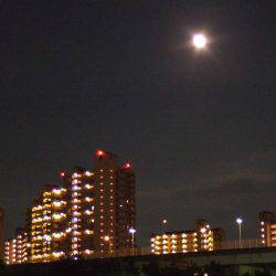 満月のアジはやっぱり釣り難かった