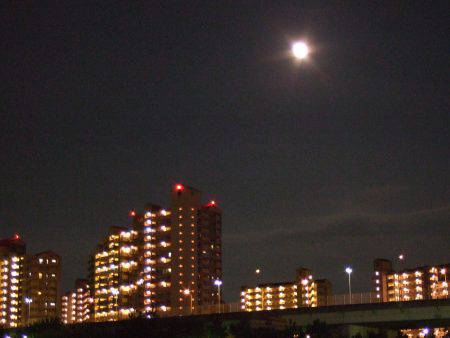 満月のアジはやっぱり釣り難かった