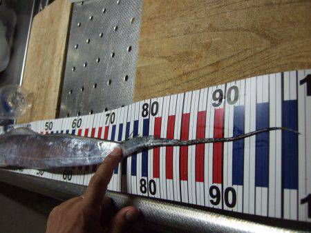 すこしの違いで釣果に差が。