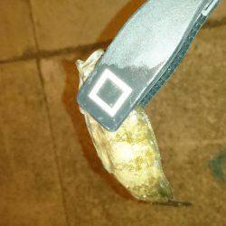 ライトエギング&アジング