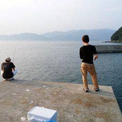 沼島 泊波止赤灯台でサビキ釣り