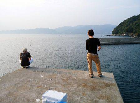 沼島 泊波止赤灯台でサビキ釣り