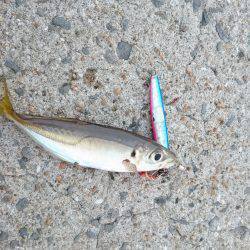 ランガン刀狩り