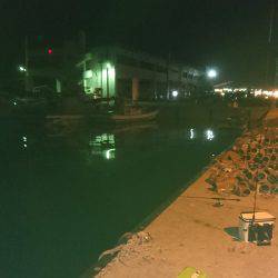 エギング&アジング