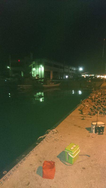 エギング&アジング