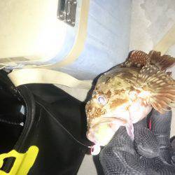 エギングのちガシリング