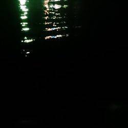 何が出るかな？