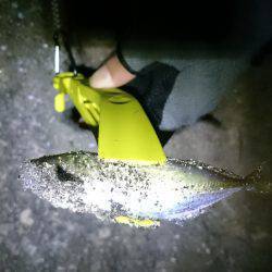 どっちもどっち