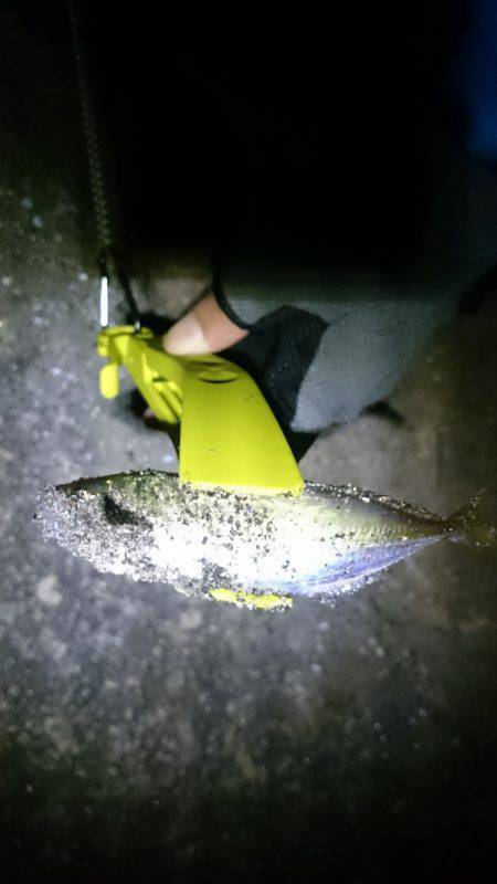 どっちもどっち