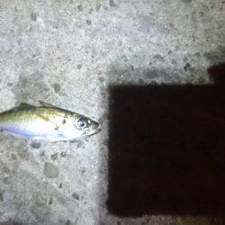 渋かったです。