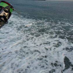 サーフエギング