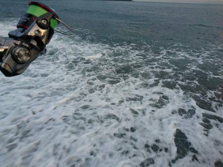 サーフエギング