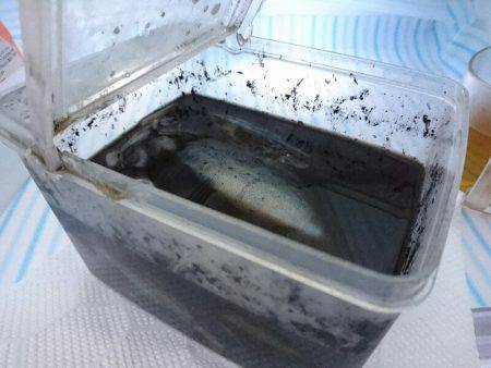 早朝サーフエギング