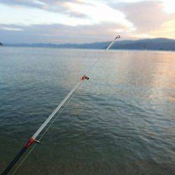 ８月最後のサーフエギング