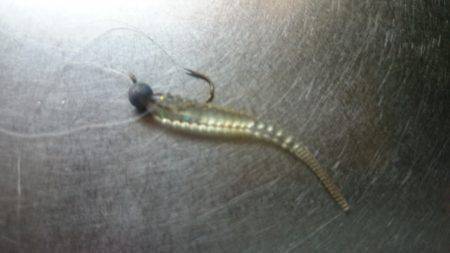 アジング釣行記