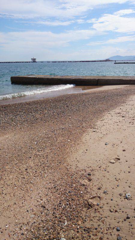 結局キッシング